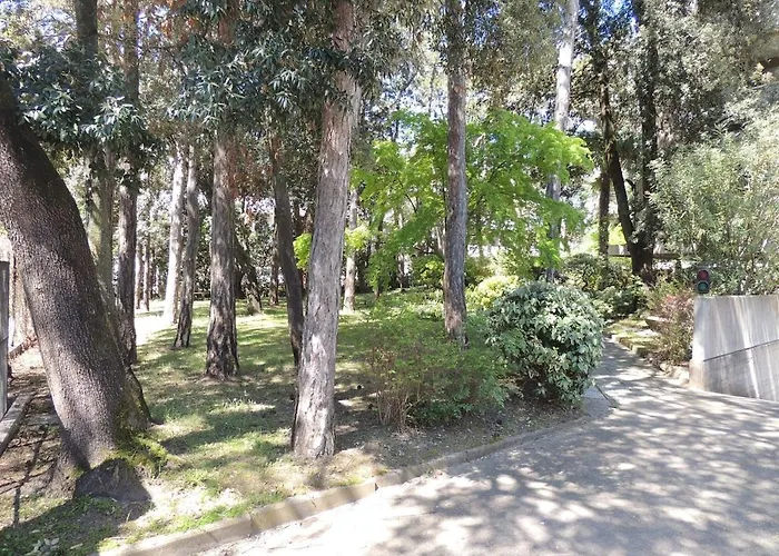 Nettuno Apartamento *